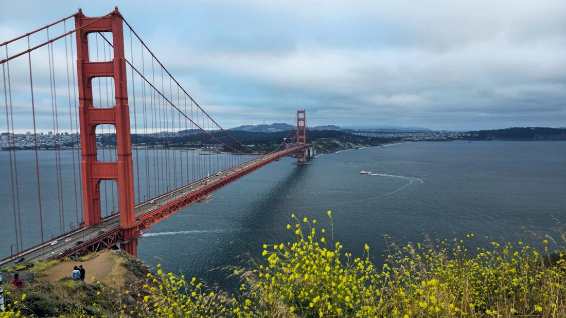 San Francisco Court Forms Now Available on SuperDocs